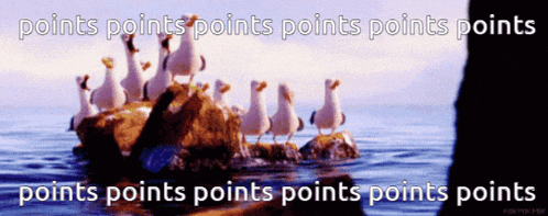 seagulls standing on a rock in the water with the words points points points points points points points