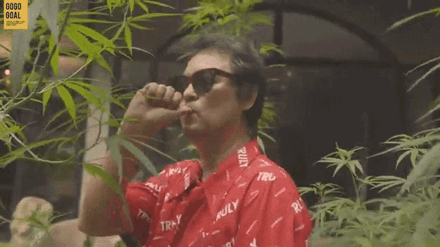 a man wearing sunglasses and a red shirt is standing in front of a plant .