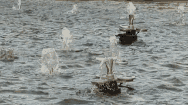 a row of fountains spraying water in a pond