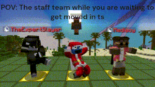 a screenshot of a minecraft game with the caption " the staff team while you are waiting to get moved in "