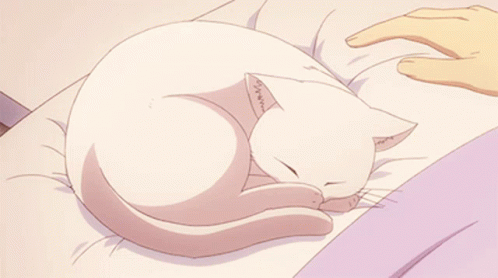 Anime Pet GIF - Anime Pet Cat GIFs