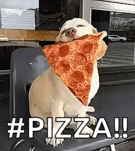 Pizza Dog GIF