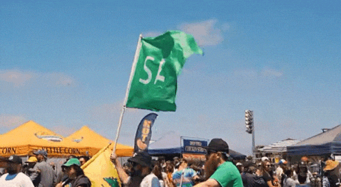 a green flag with the letter s on it is being held in a crowd