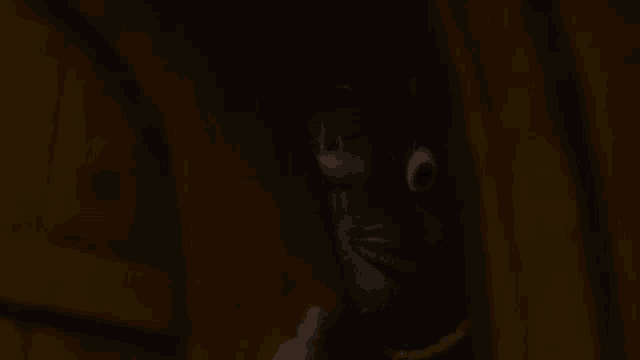 a cartoon cat is peeking out from behind a curtain in the dark .