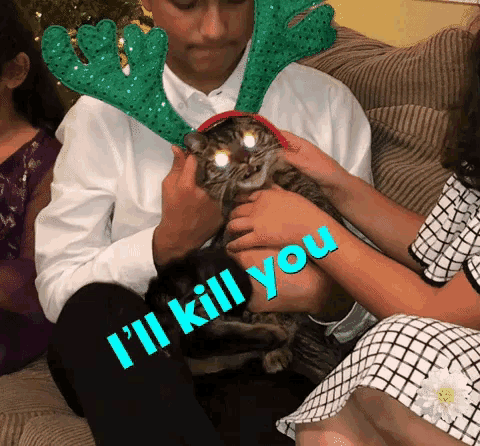a person holding a cat with the words " i 'll kill you " on their knee