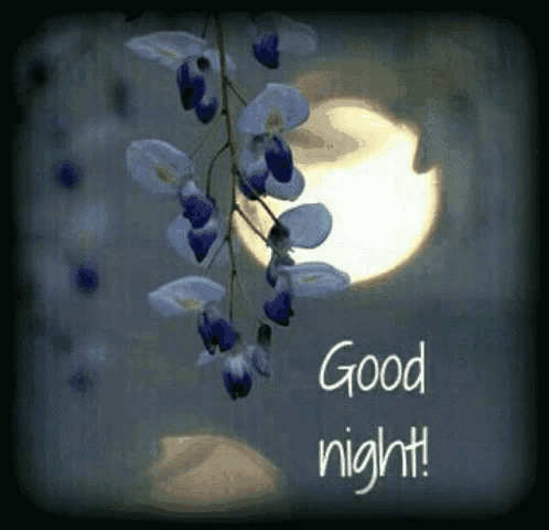 a good night greeting card with flowers and a full moon in the background