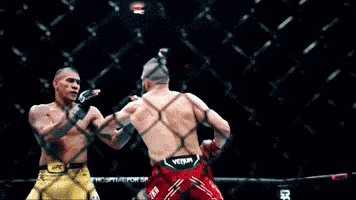 a bald man in a boxing ring with ufc written on the floor