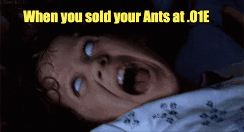 Ant Republic Ants GIF - Ant Republic Ants Sold Ants GIFs