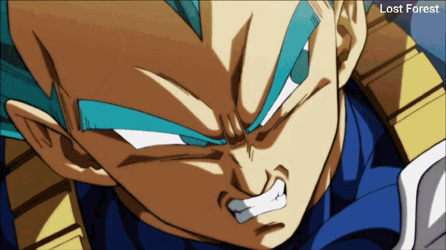 a close up of a dragon ball z character with the words lost forest below