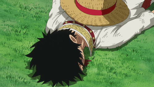 Luffy Getting Up GIF - Luffy Getting Up GIFs