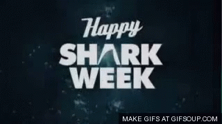 Happy Shark Week Shark Week GIF