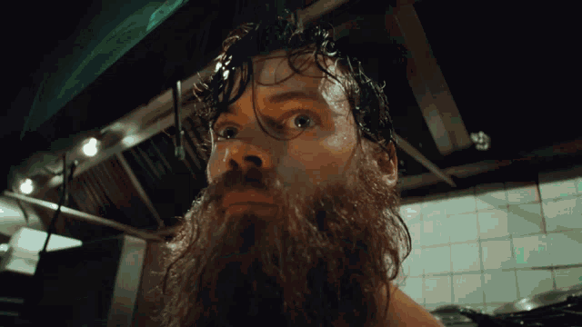 a man with a beard looks at the camera
