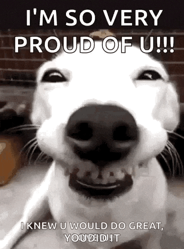 a white dog is smiling and saying `` i 'm so very proud of u !!! ''