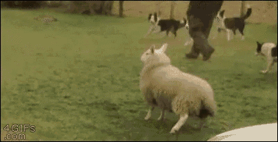 Fitting Normal GIF - Fitting In Normal GIFs