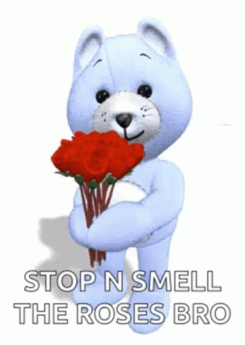 Roses Flowers Bears GIF - Roses Flowers Bears For You GIFs
