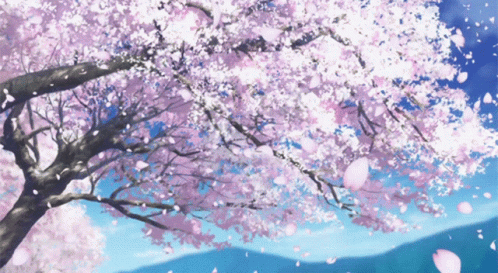 Sakura Bloom GIF - Sakura Bloom Petals GIFs