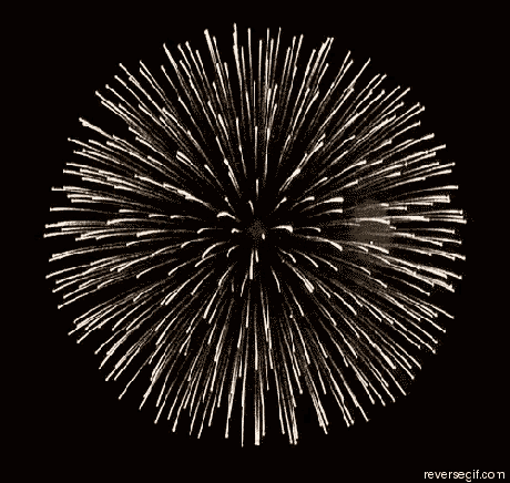 a fireworks display in the shape of a flower in the night sky .