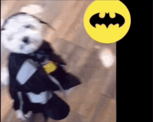 Funny Dog Dog In Costume GIF - Funny Dog Dog In Costume Happy Halloween GIFs