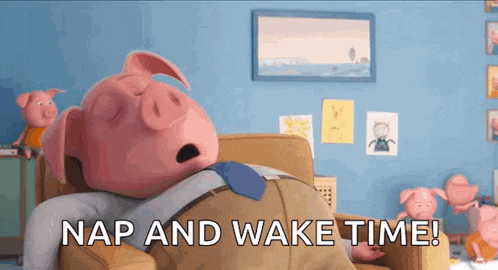 a cartoon pig is sleeping on a couch with the words nap and wake time written next to him .