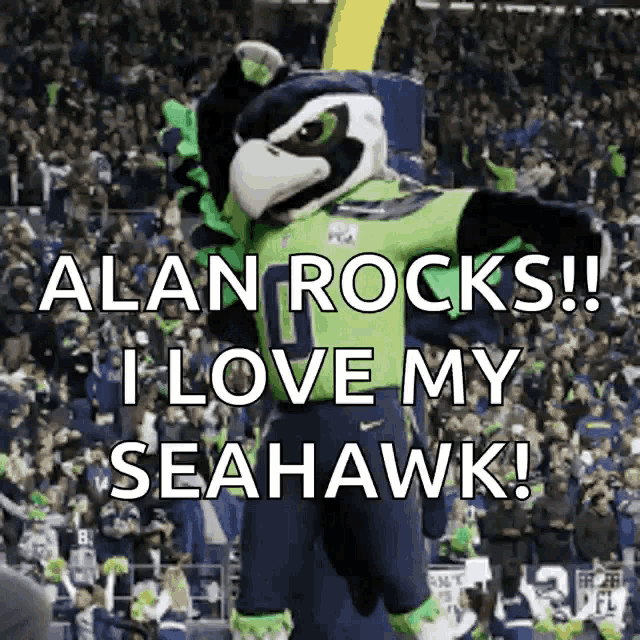 a seahawk mascot says alan rocks i love my seahawk in front of a crowd