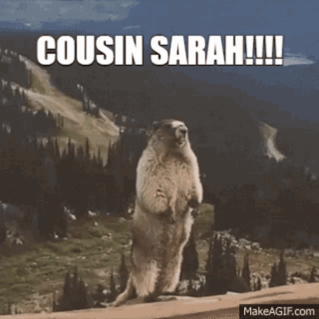 Sarah Cousin Sarah GIF - Sarah Cousin Sarah Cousin GIFs