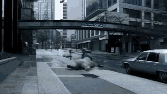 Bear Trap Bear Rain GIF - Bear Trap Bear Rain Short Squeeze GIFs