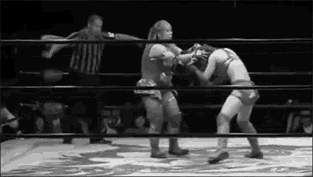 two women are wrestling in a ring with a referee