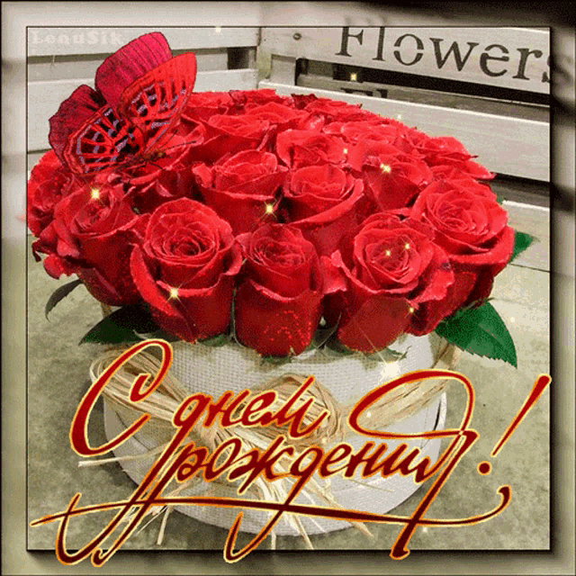 a bouquet of red roses with a butterfly on top and the word flower on the bottom