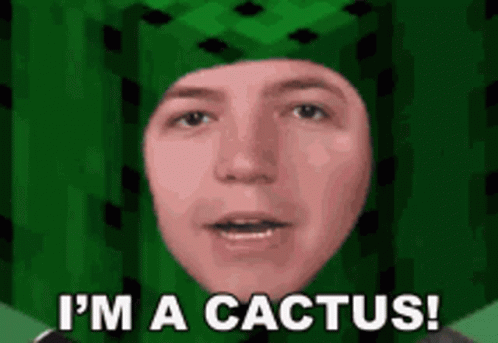 Cactus Minecraft GIF - Cactus Minecraft Im A Cactus GIFs