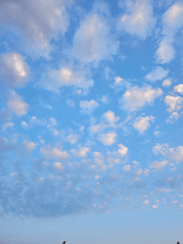 a blue sky with white clouds and a bird flying