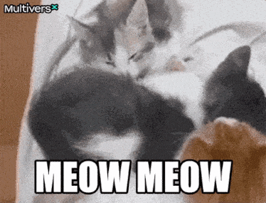 a couple of cats laying on top of each other with the words meow meow written above them
