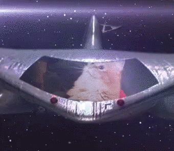 Space Cat GIF - Space Cat Laser GIFs