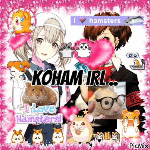 a collage of hamsters and a girl with the name kohamirl