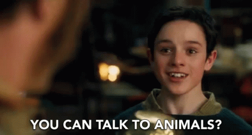 You Can Talk To Animals Wow GIF - You Can Talk To Animals Wow Amazing GIFs