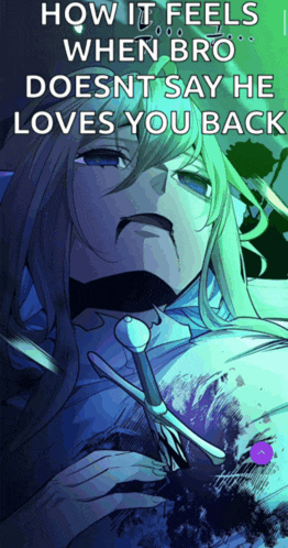 a poster that says how it feels when bro doesnt say he loves you back
