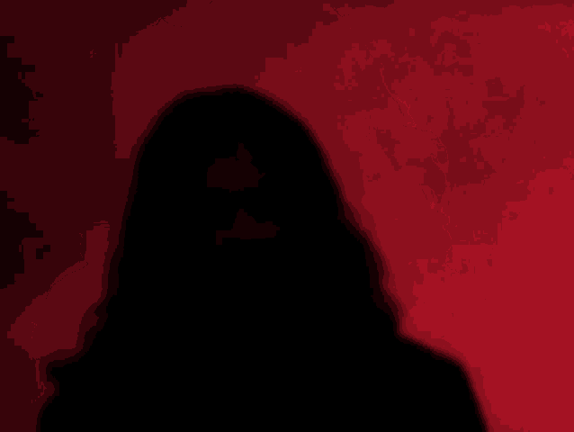 a silhouette of a woman with long hair is against a red background .