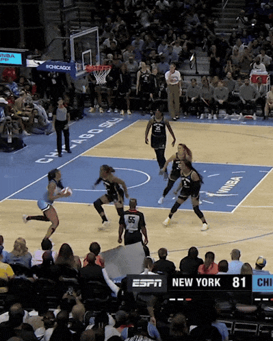 a basketball game is being played on a court that says new york 81 on it