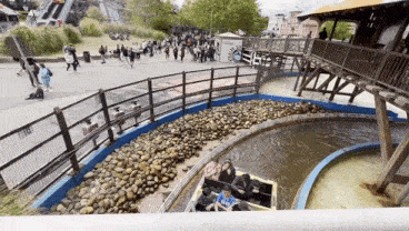 a group of people are riding a roller coaster in a theme park