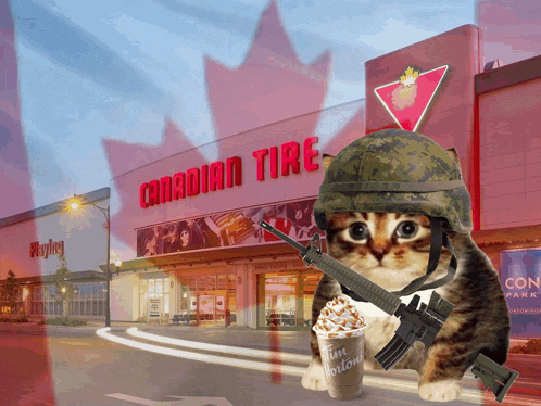 a cat wearing a helmet and holding a gun stands in front of a canadian tire store