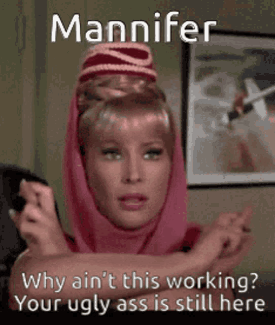Mannifer Genie GIF - Mannifer Genie Why GIFs