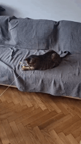 a cat is laying on a couch with a blanket on it .