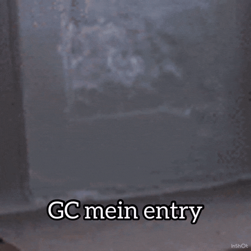 Gc Mein Entry Gc Mein Entry Cat GIF