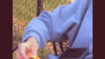 a person in a blue jacket is holding a yellow flower in their hand