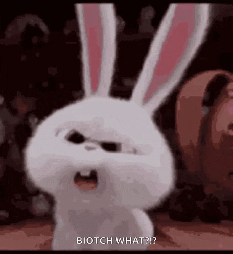 a white rabbit from the secret life of pets is angry and says biotch what .