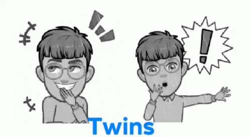 Twins Brothers Shocked GIF - Twins Brothers Shocked GIFs