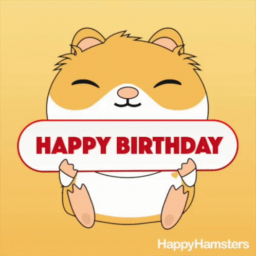 Happyhamsters Happy Birthday GIF - Happyhamsters Happy Birthday Birthday GIFs