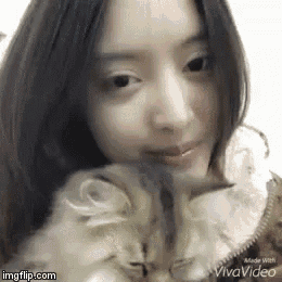 a woman is holding a small kitten in her arms .