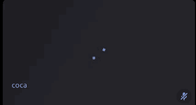 a screenshot of a video call with the name coca monky