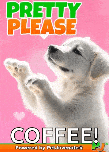 a picture of a puppy that says pretty please coffee on it