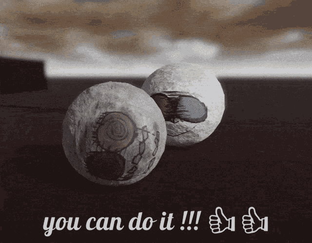 a picture of two eggs with the words " you can do it " on the bottom